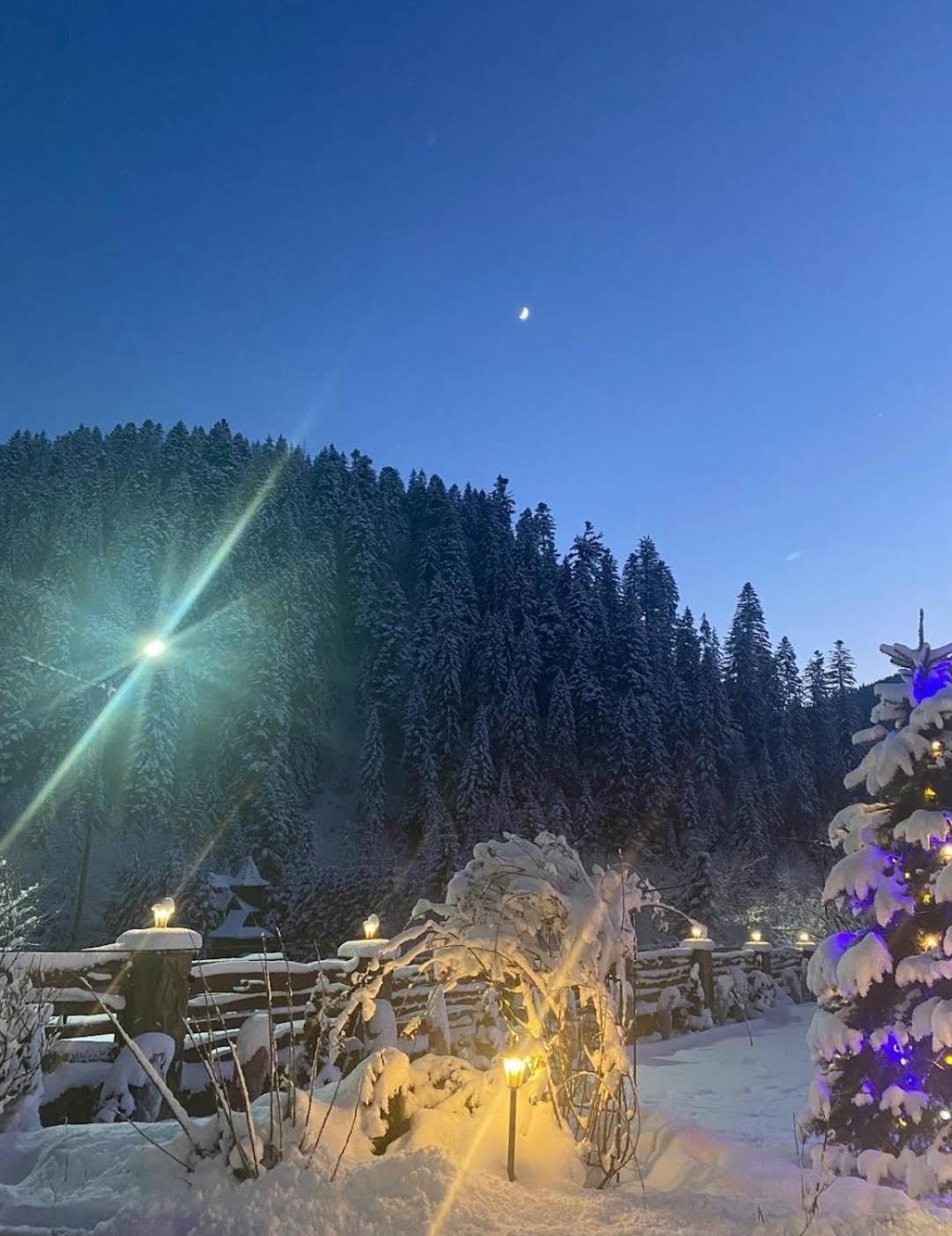 Guesthouse Kolo Druziv Татаров Экстерьер фото