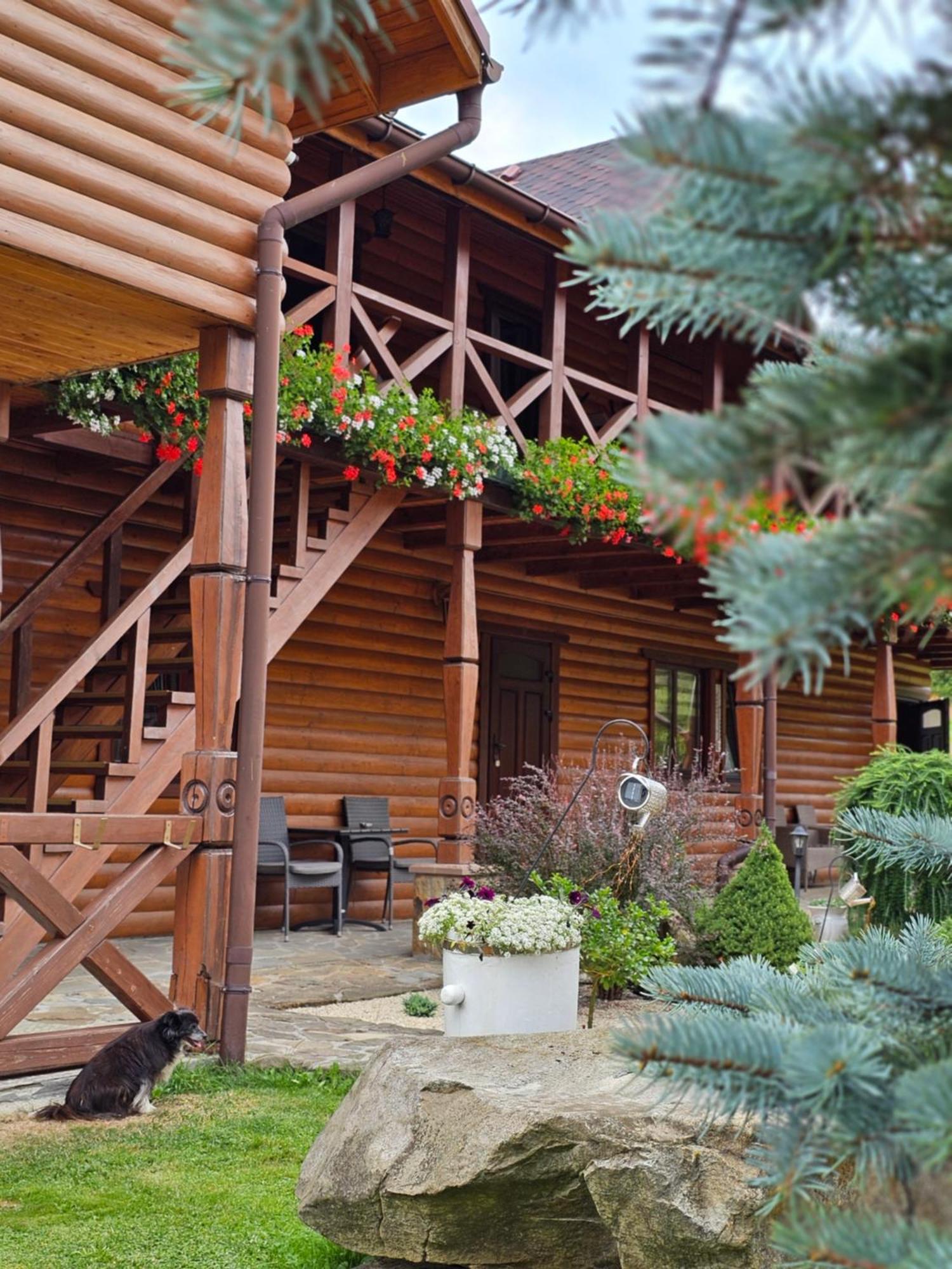 Guesthouse Kolo Druziv Татаров Экстерьер фото